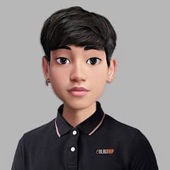 Non — WordPress Developer